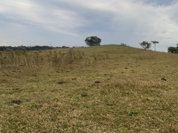 Fazenda - Venda - rea Rural de Bauru - Bauru - SP