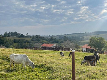Sítio - Venda - Área Rural de Garça - Garça - SP