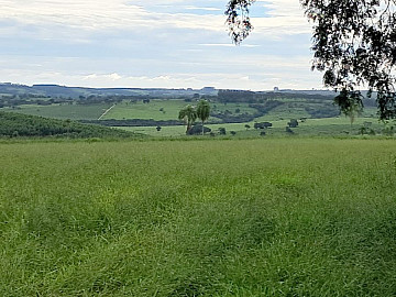 Fazenda regi�o de Botucatu - 92 alqueires