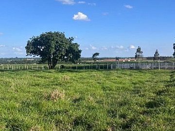 Fazenda - Venda - Área Rural de Águas de Santa Bárbara - Águas de Santa Bárbara - SP