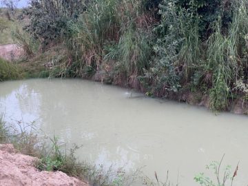 Chácara - Venda - Rio Verde - Bauru - SP