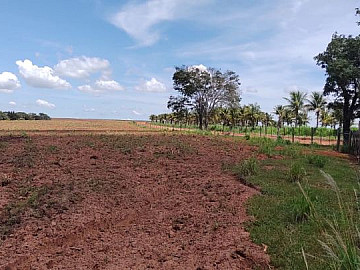 FAZENDA � 167,5 ALQUEIRES, REGI�O DE BAURU/SP