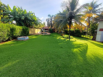 Rancho - Venda - Nova Maril�ndia - Arealva - SP