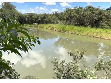 Sítio - Venda - Área Rural de Bauru - Bauru - SP