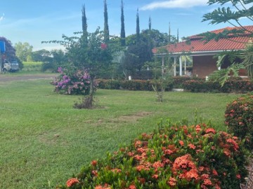 Fazenda - Venda - Rural - Itápolis - SP
