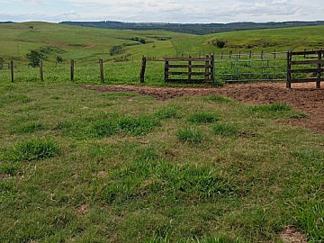 Fazenda - Venda - �rea Rural de Gar�a - Gar�a - SP