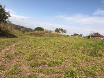 Terreno - Venda - Santa Izabel - Arealva - SP