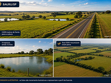 Fazenda - Venda - Área Rural de Bauru - Bauru - SP