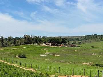 FAZENDA � VENDA - 235 ALQUEIRES, Regi�o LINS